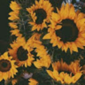 Meet your Posher, Aralynkay